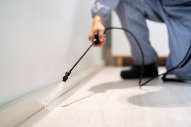 Professional exterminator conducting IPM assessment in Queen City